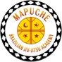 Mapuche BJJ Academy